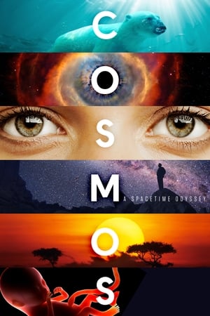 Image Cosmos: Una odisea en el espacio-tiempo (2014)
