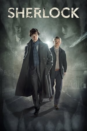 Image Sherlock (2010)