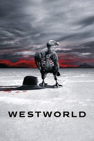 Image Westworld (2016) 1